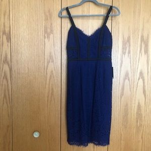 Express Midi Dress - Blue Lace - 4